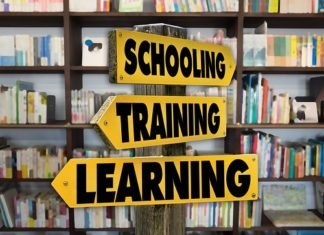 Habilidades interpersonales y de equipo